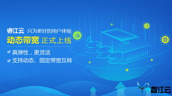 科技赋能企业转型 佛山政府补贴助力企业上云，技术服务加速升级